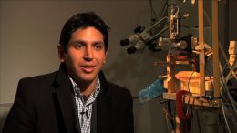 Capítulo 6: Metazoan Technologies