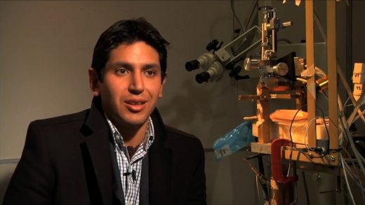 Capítulo 6: Metazoan Technologies